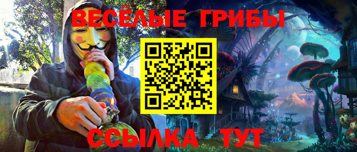 Псилоцибиновые грибы прущие грибы Корсаков