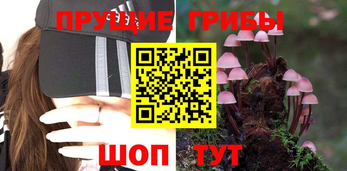 Корсаков  ГАШ  MDMA  Вход с VPN  Каннабис  МЕФ  