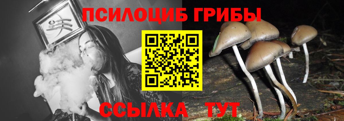 Псилоцибиновые грибы ЛСД  Вход с VPN  наркота  Корсаков 
